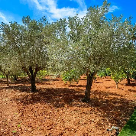 S'hort Des Baladres Ibiza Villa