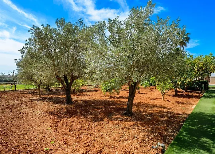 S'hort Des Baladres Ibiza Villa